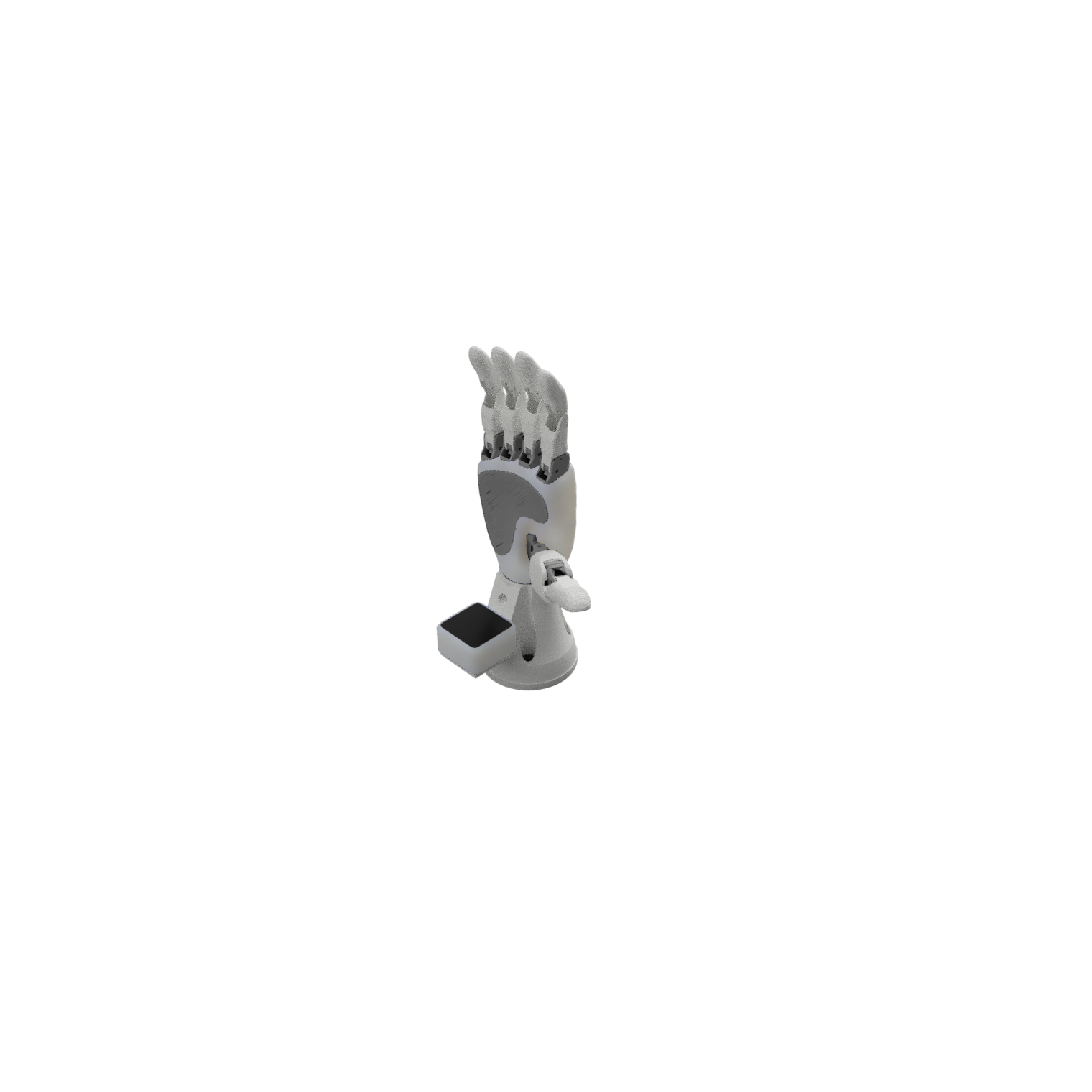 5-Finger Hand